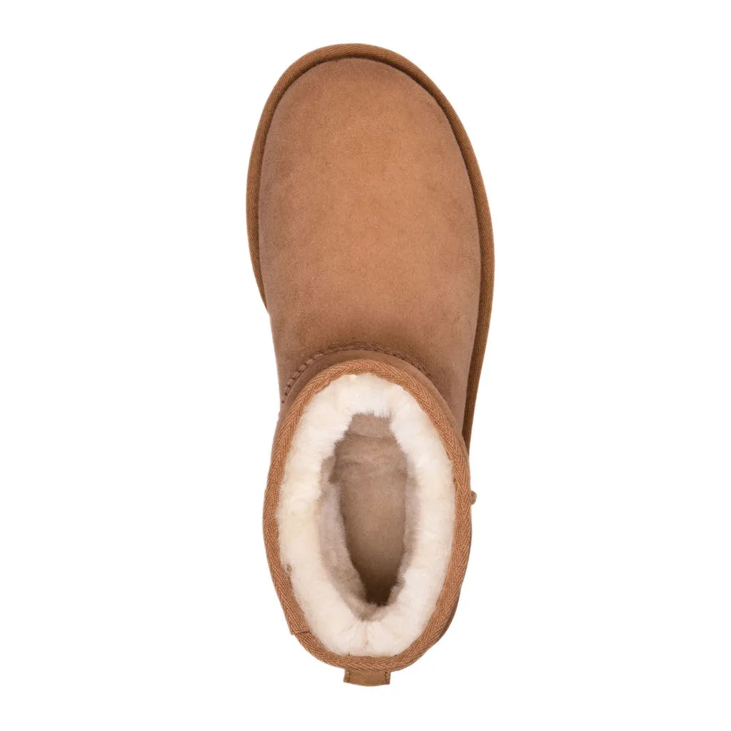 UGG Australia Women's Classic Mini II Boot in Chestnut